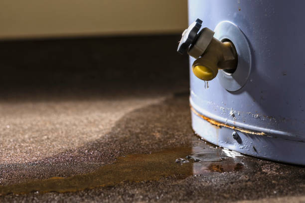 Best Sewage cleanup and water damage restoration  in Bull Run, VA