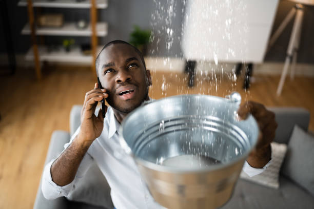Best Ceiling water damage repair  in Bull Run, VA