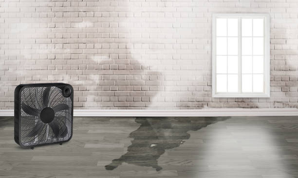 Best Sewage cleanup and water damage restoration  in Bull Run, VA