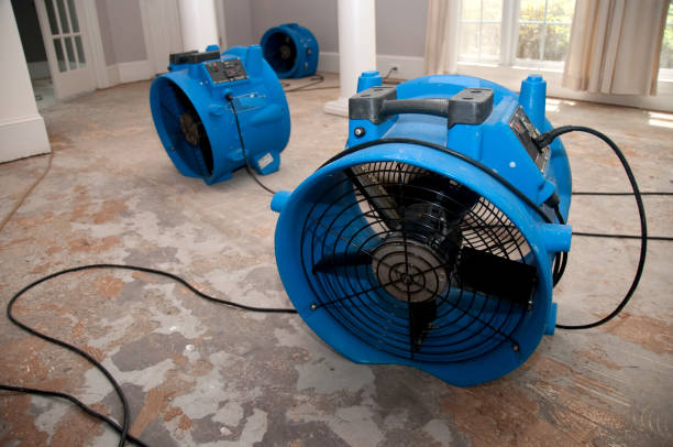 Best Water damage restoration cost  in Bull Run, VA