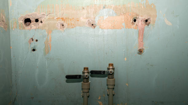 Best Sewage cleanup and water damage restoration  in Bull Run, VA