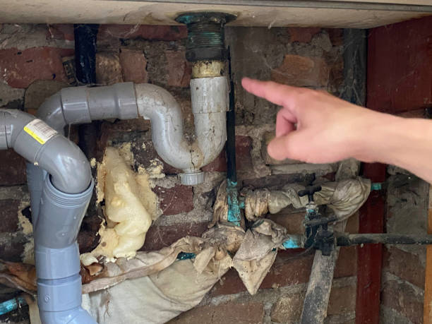 Best Basement water damage restoration  in Bull Run, VA